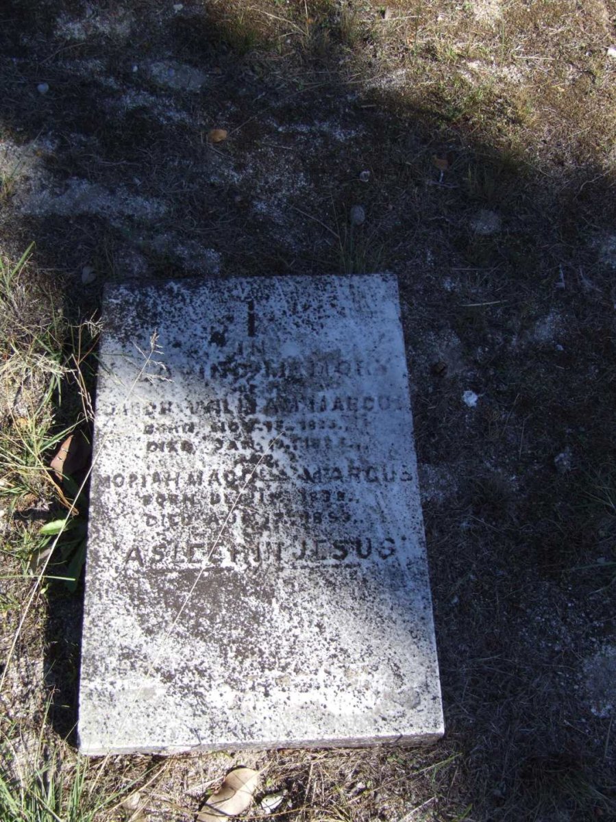 MARCUS ? William 18??-188? :: MARCUS Mopiah Mac? 1838-18?3