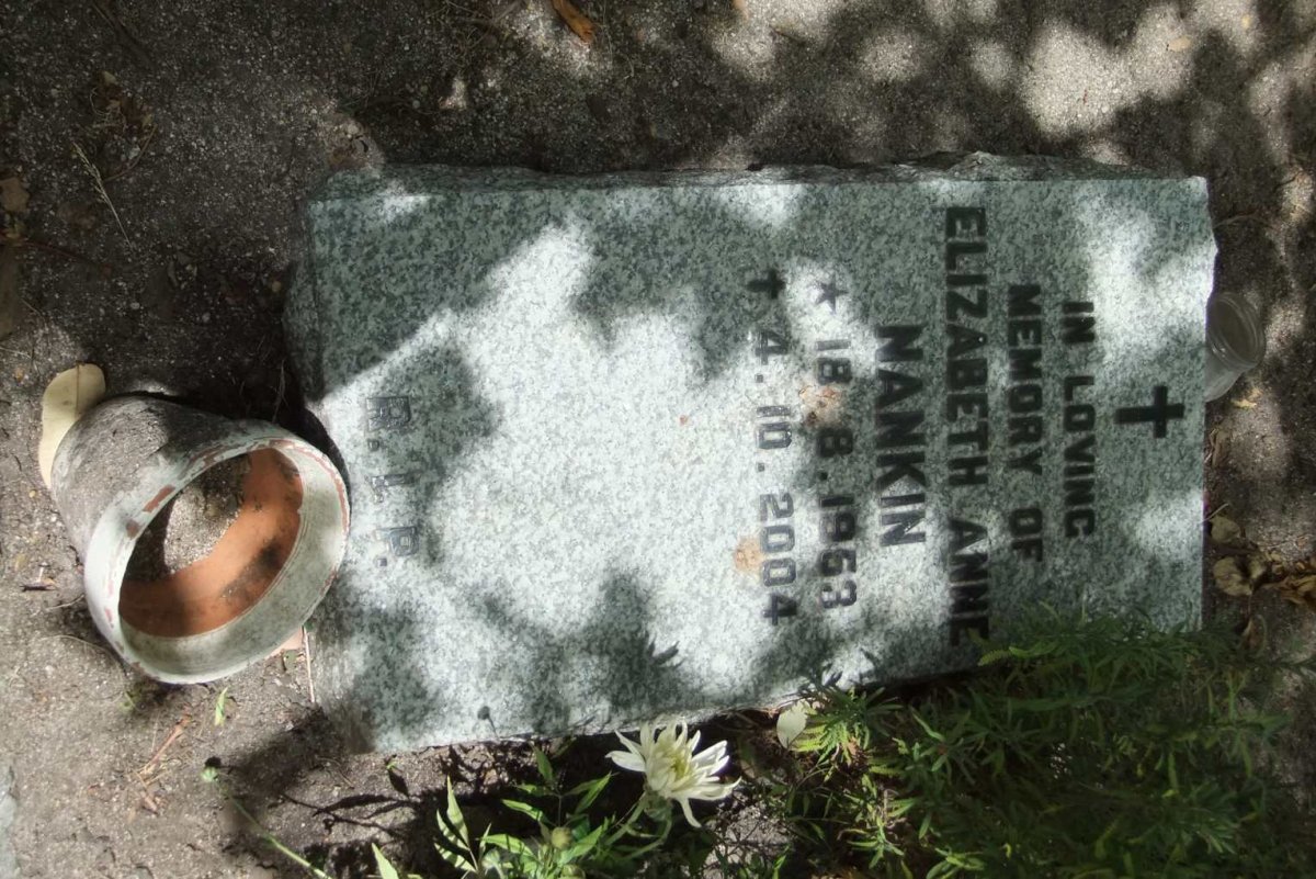 NANKIN Elizabeth Anne 1953-2004