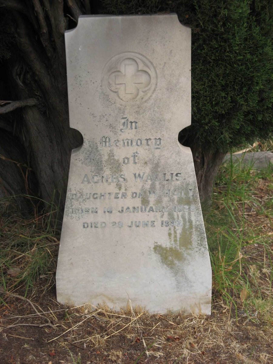 WALLIS Agnes nee HALL 1828-1897