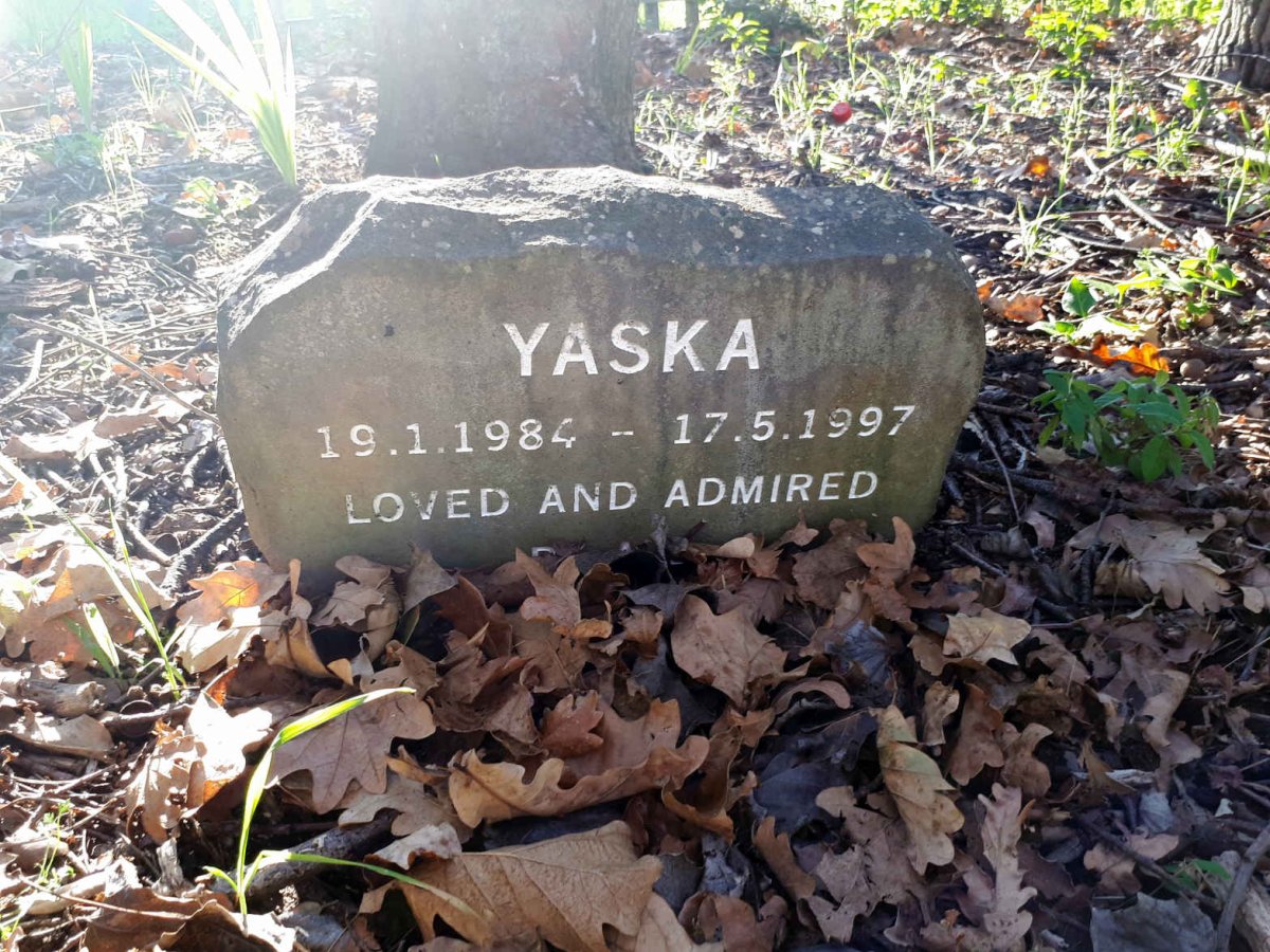 ? Yaska 1984-1997