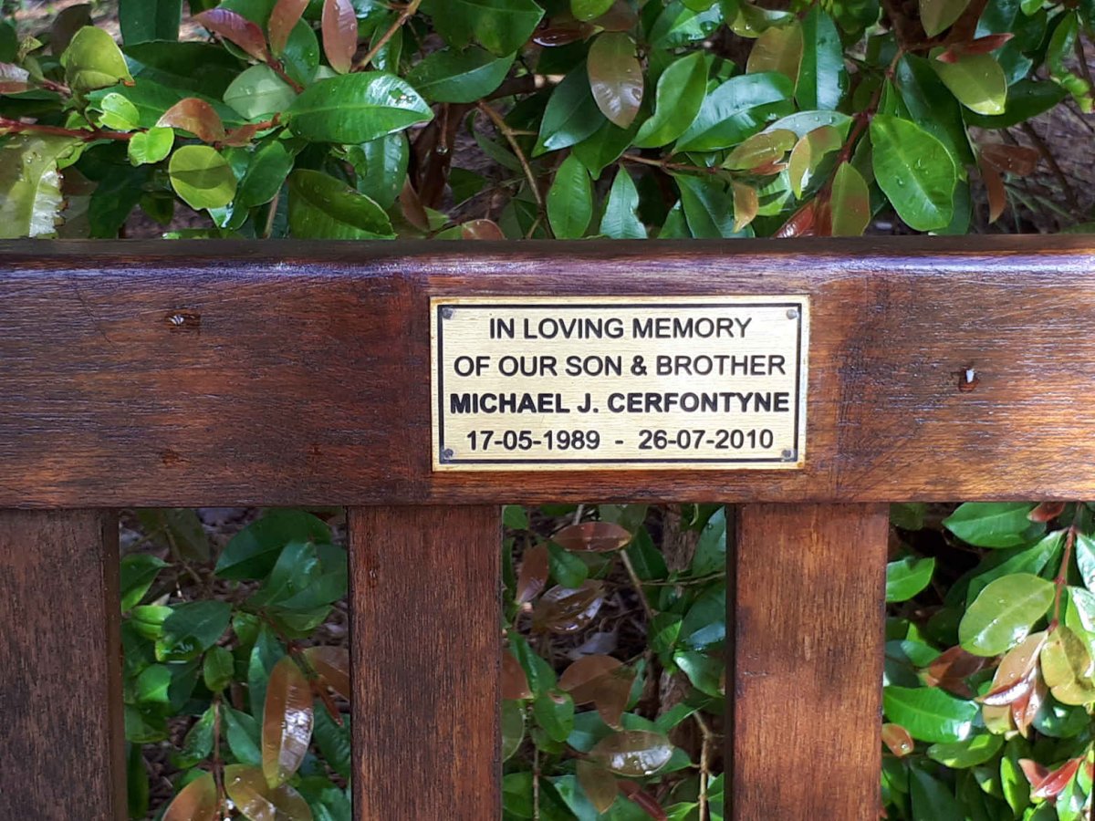 CERFONTYNE Michael J. 1989-2010