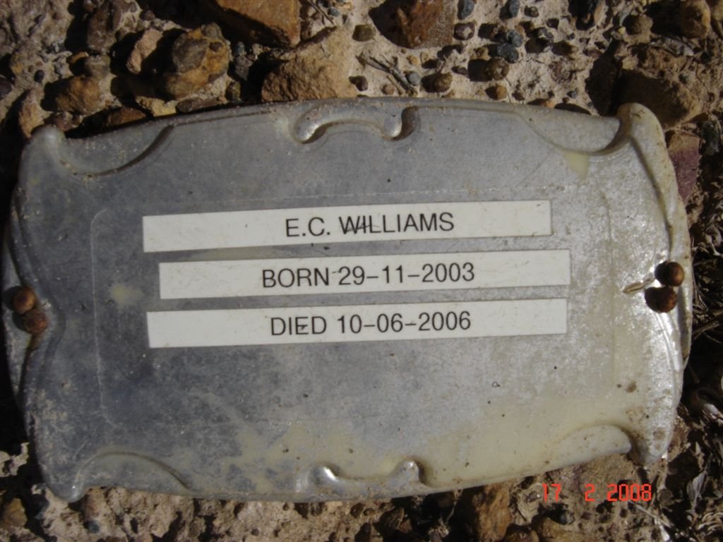 WILLIAMS E.C. 2003-2006