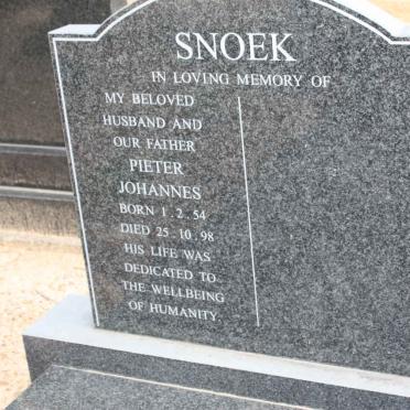 SNOEK Pieter Johannes 1954-1998
