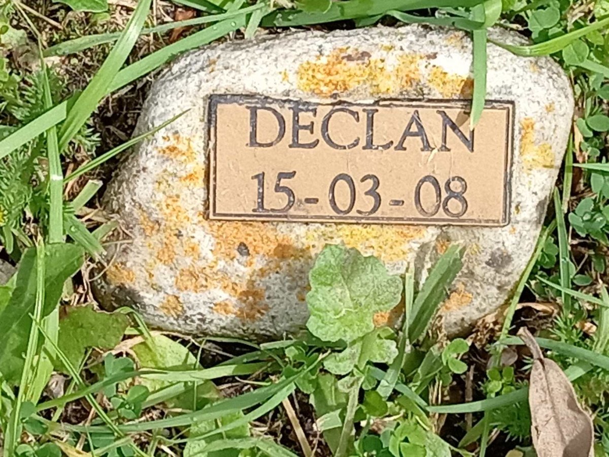 ? Declan -2008