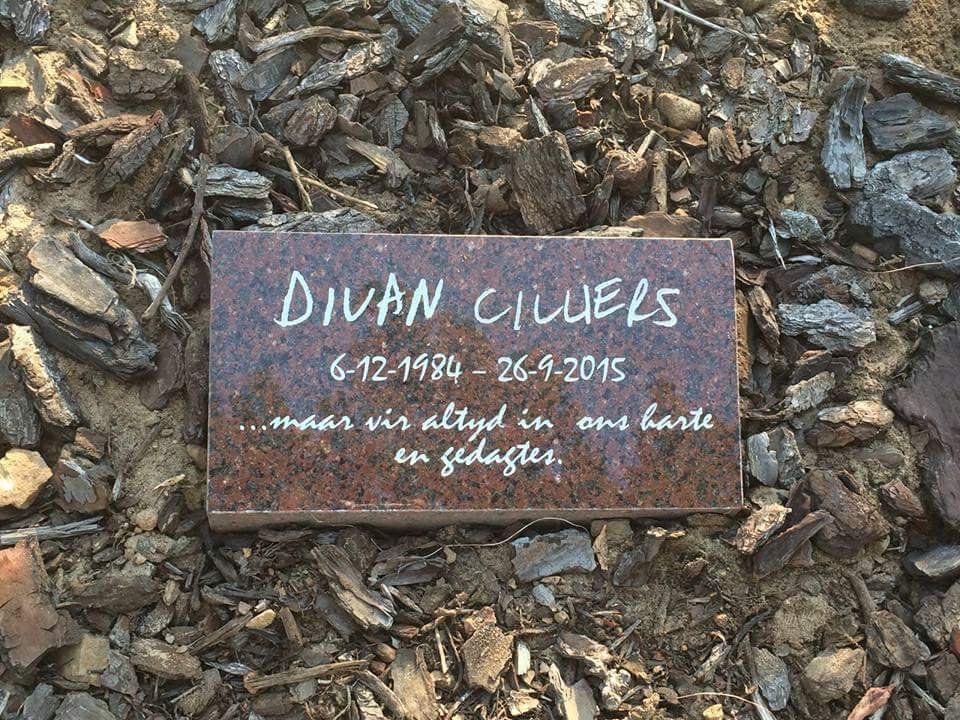CILLIERS Divan 1984-2015