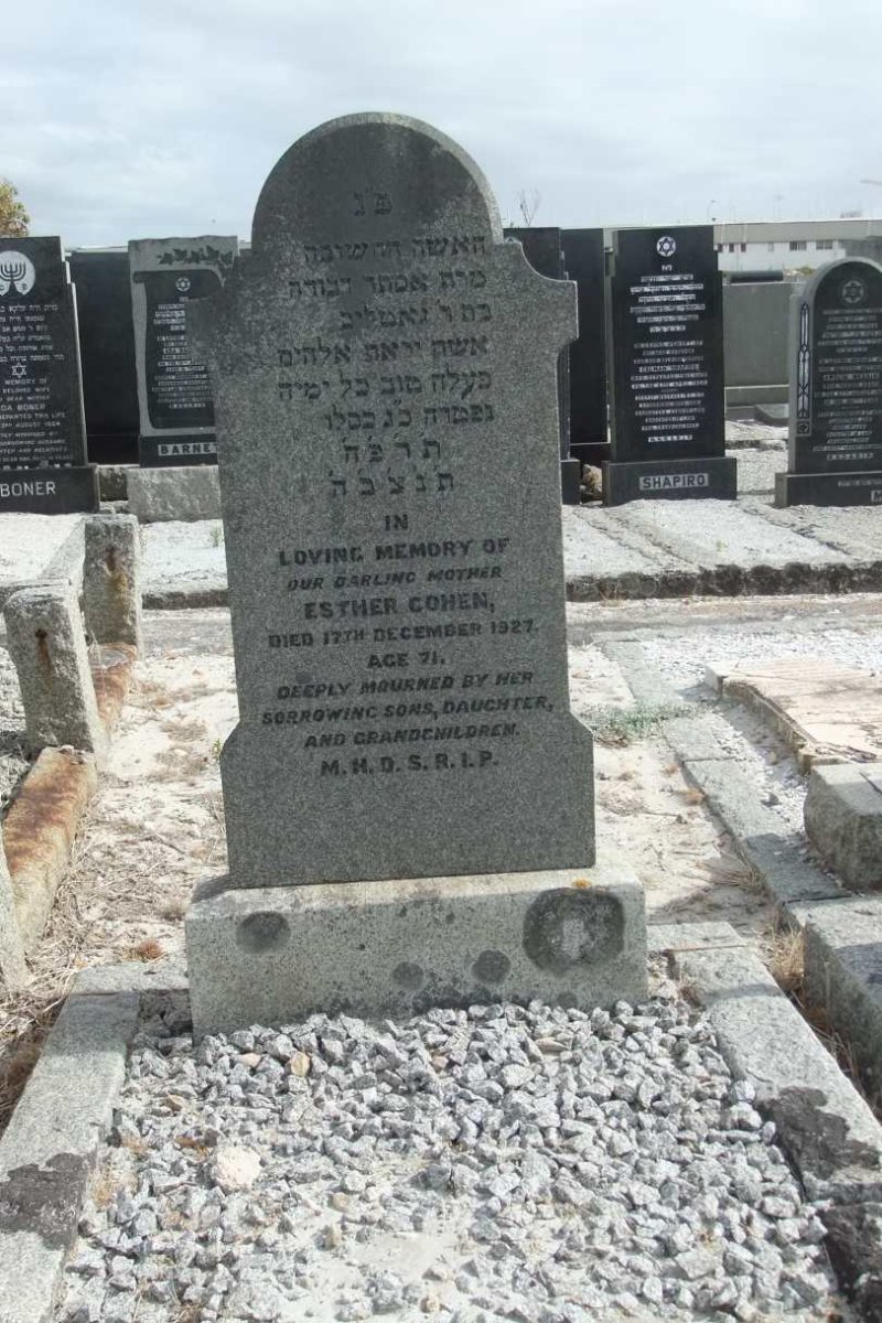 COHEN Esther -1927