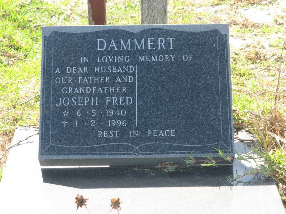 DAMMERT Joseph Fred 1940-1996