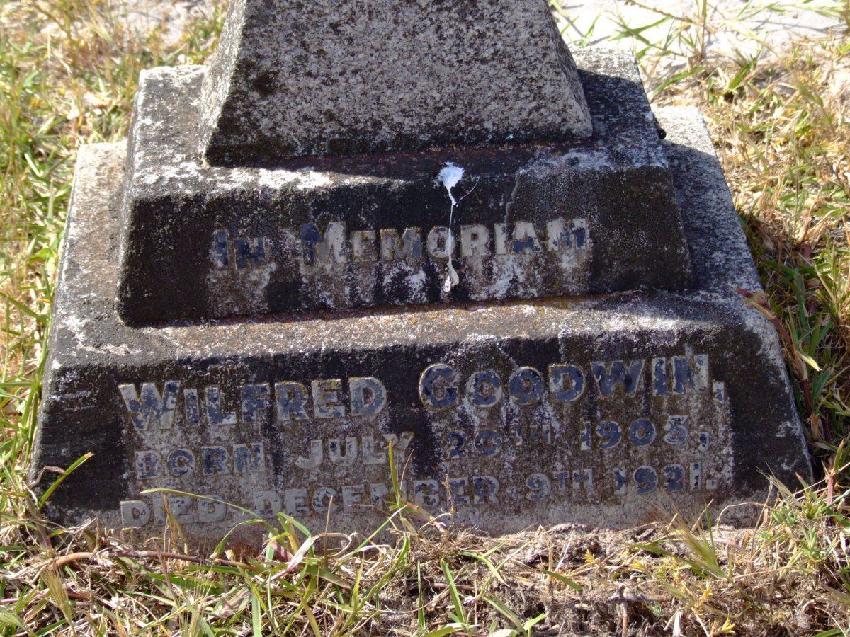 GOODWIN Wilfred 1905-1921