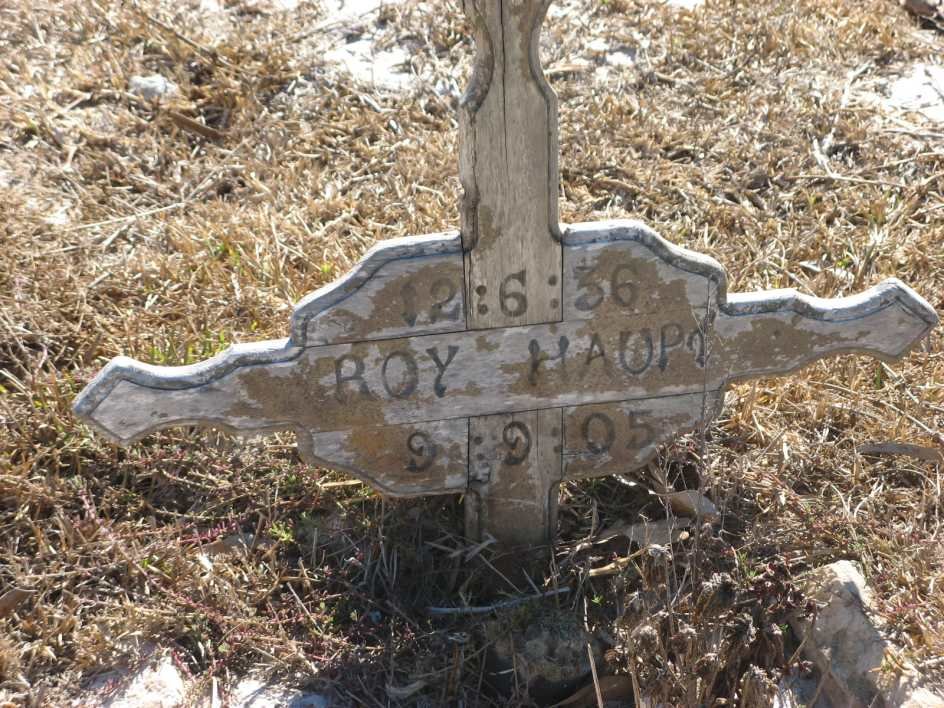 HAUPT Roy 1936-2005