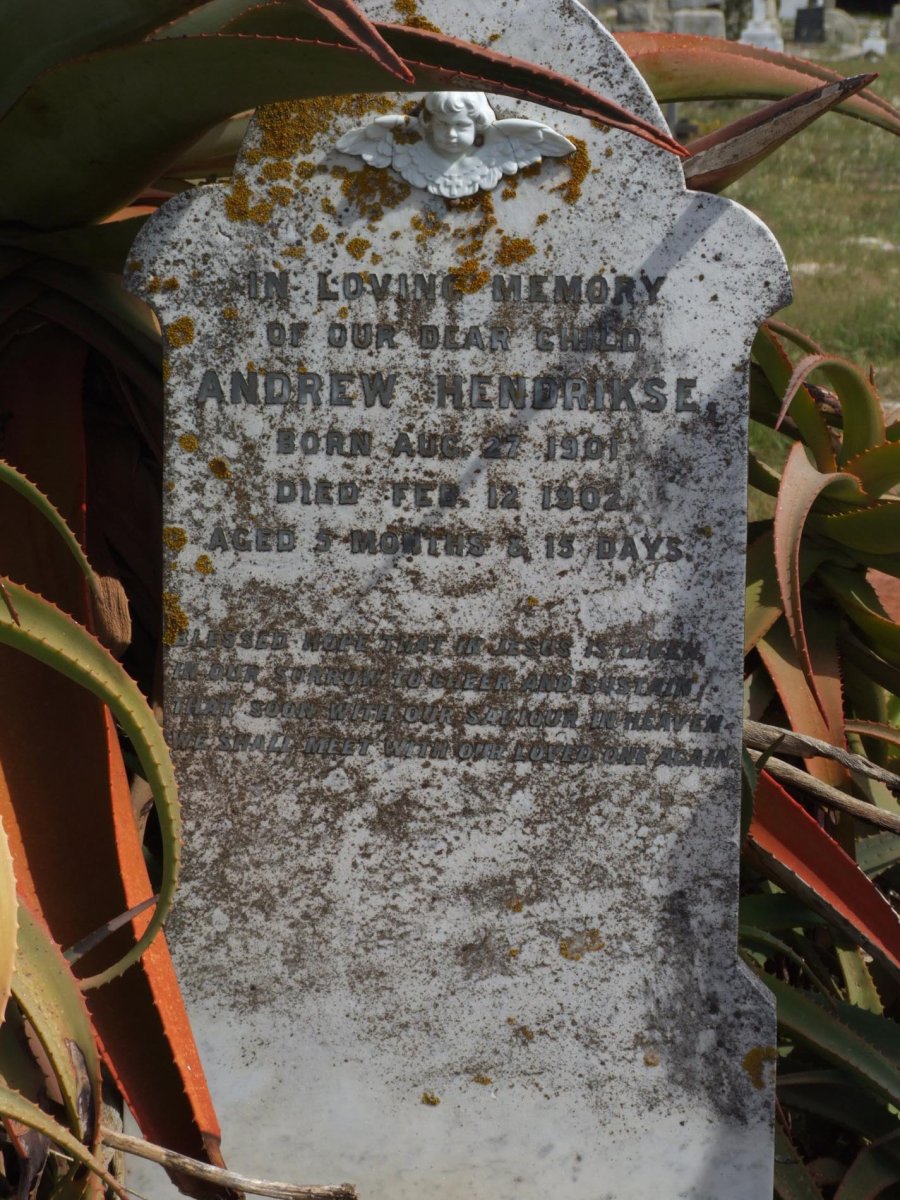 HENDRIKSE Andrew 1901-1902
