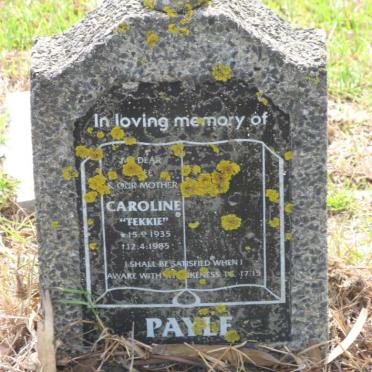 PAYLE Caroline 1935-1985