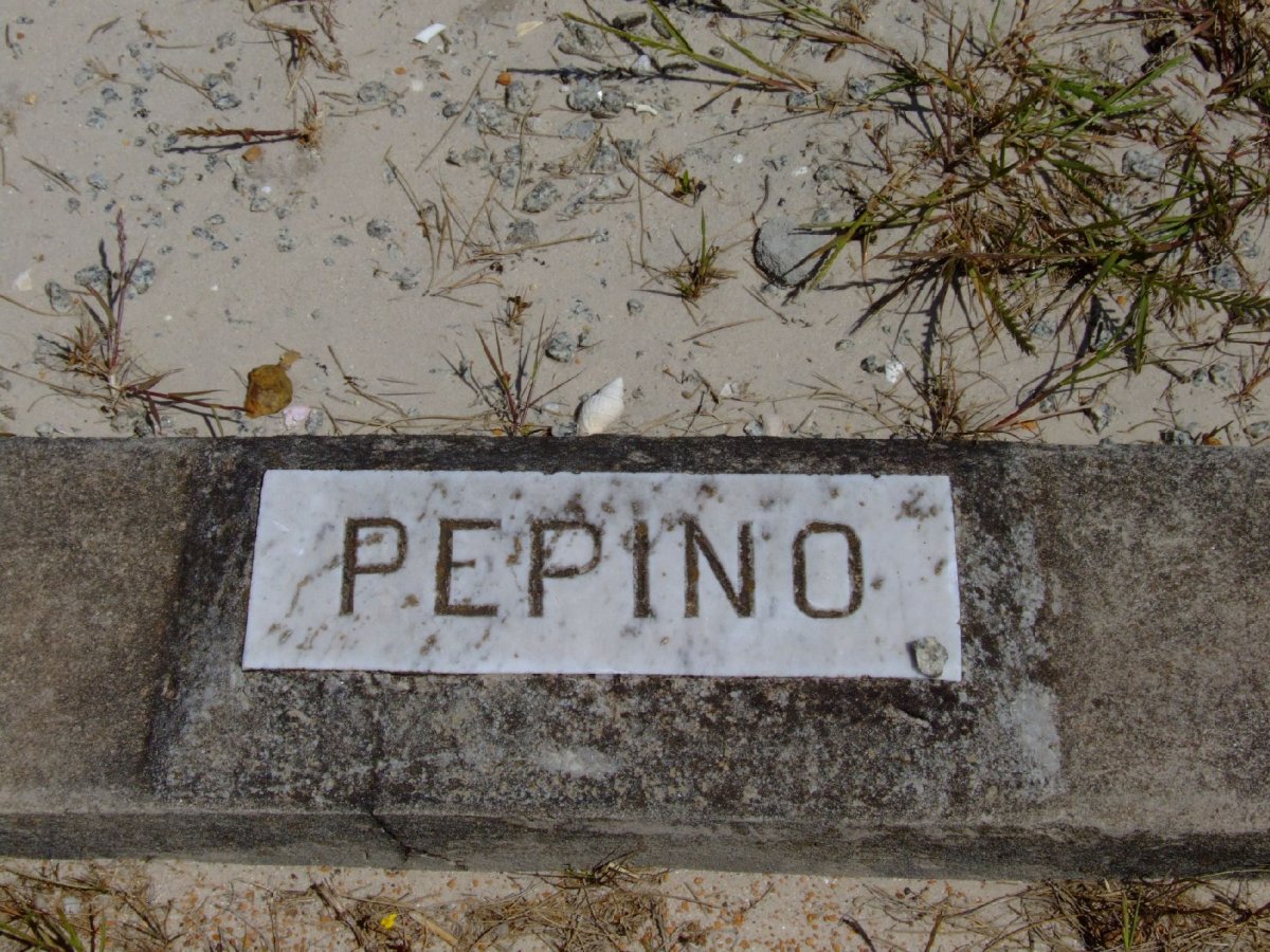PEPINO