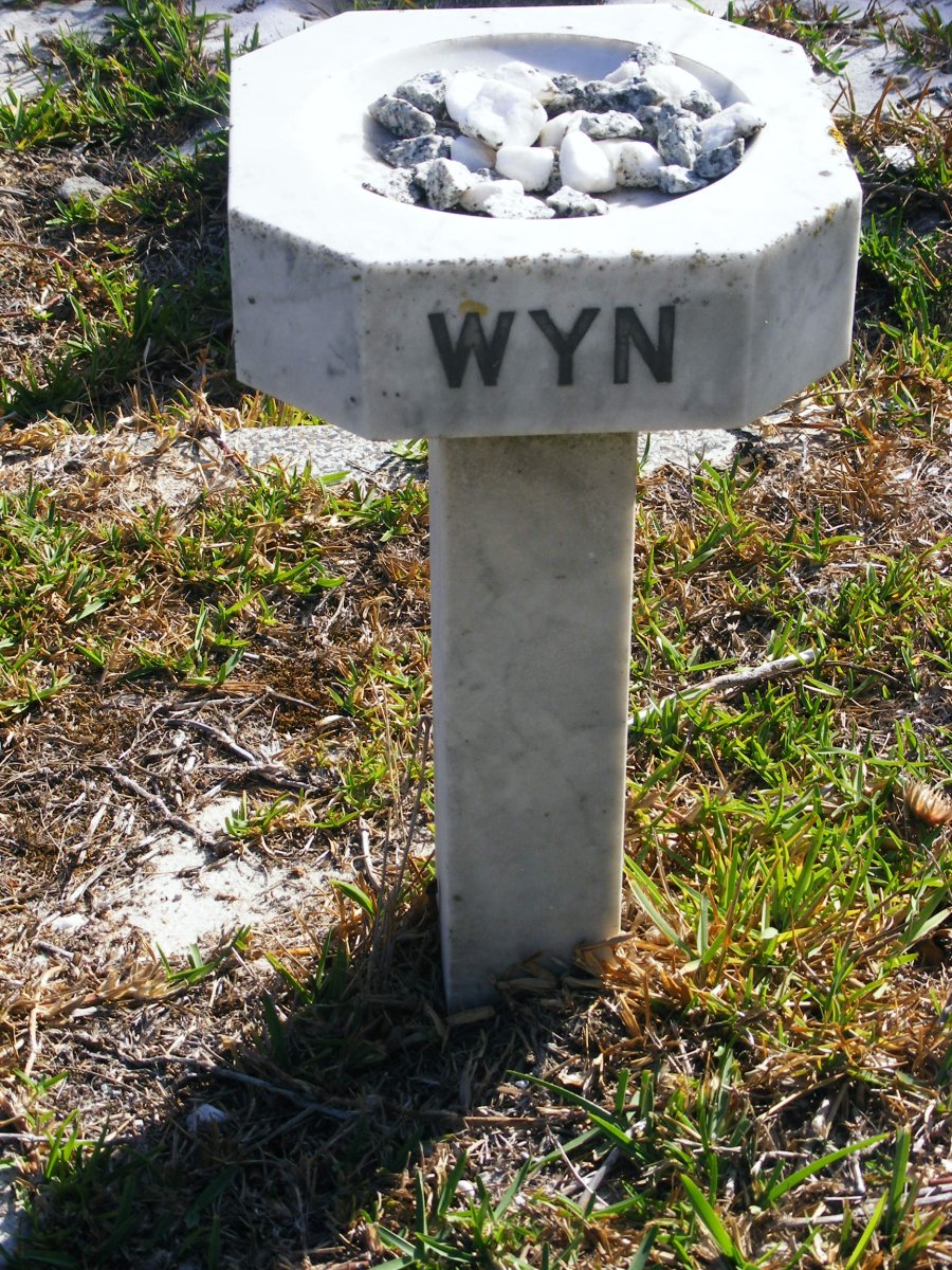 WYN