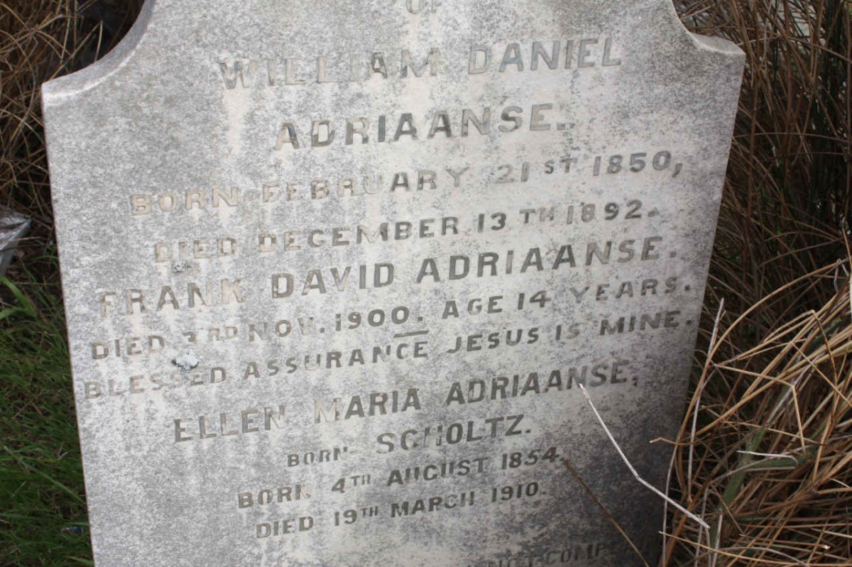 ADRIAANSE William Daniel 1850-1892 &amp; Ellen Maria SCHOLTZ 1854-1910 :: ADRIAANSE Frank David -1900