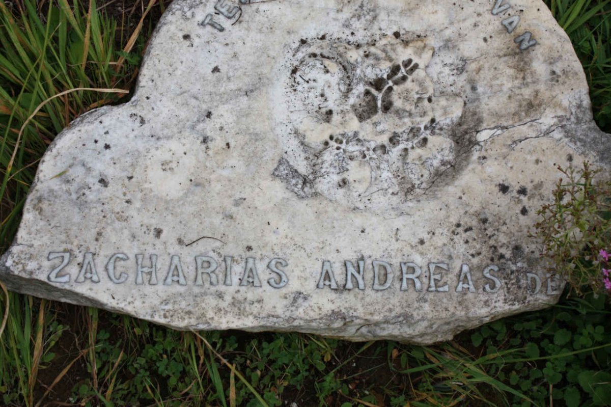BEER Zacharias Andreas, de