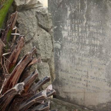 SMUTS Harry -1911 &amp; Louisa Maria -1924 :: SMUTS Harold Victor -1934