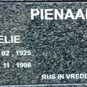 P - Vanne :: Surnames - P