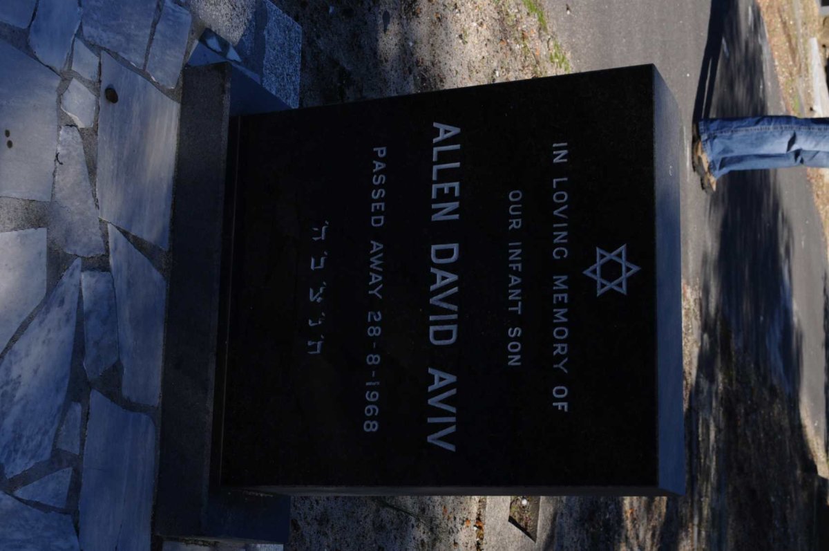 AVIV Allen David -1968