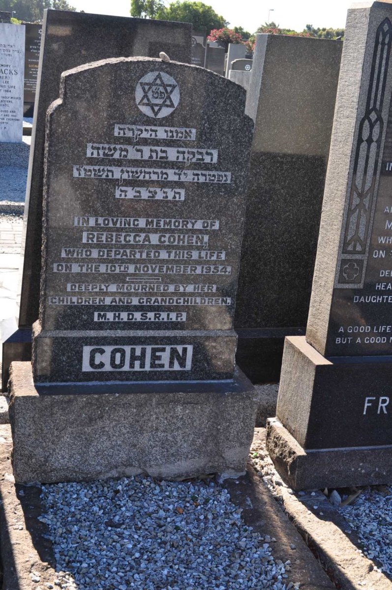 COHEN Rebecca -1954