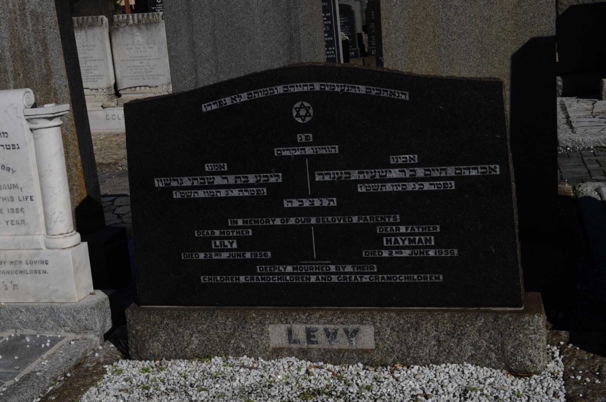 LEVY Hayman -1956 &amp; Lily -1956