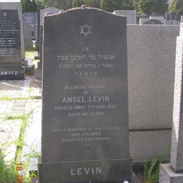 LEVIN Ansel -1962