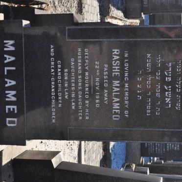 MALAMED Rashe -1960