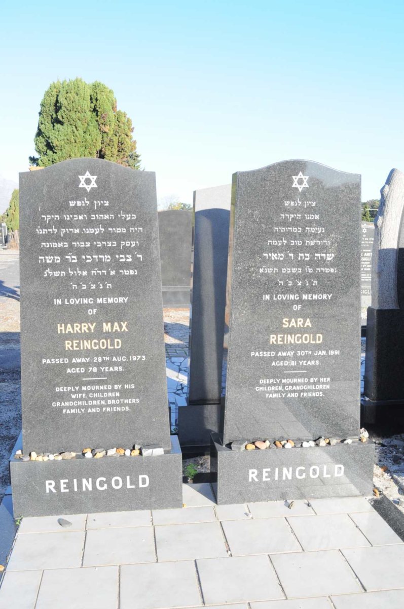 REINGOLD Harry Max -1973 &amp; Sara -1991