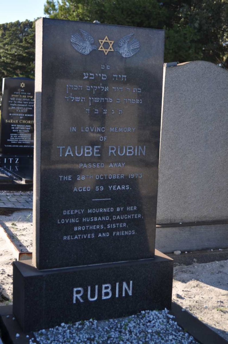 RUBIN Taube -1973