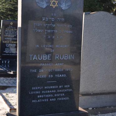 RUBIN Taube -1973