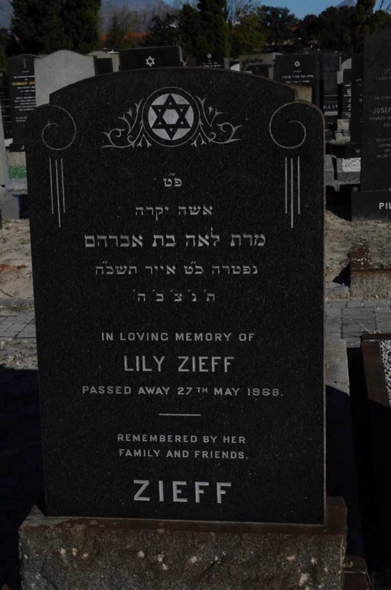 ZIEFF Lily -1968