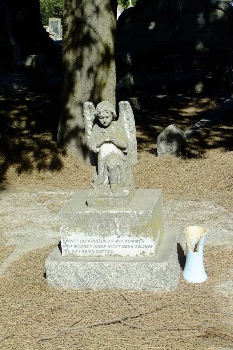 DSCF3644