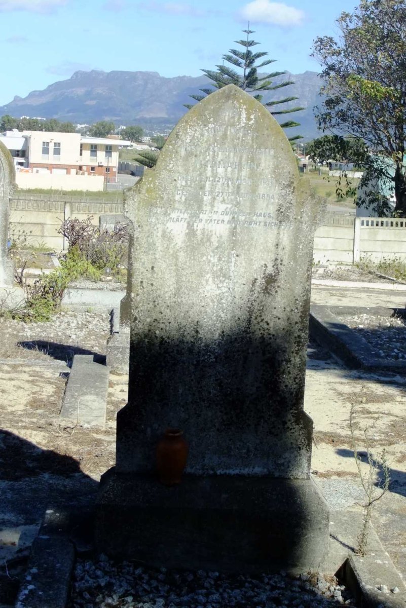 DSCF3564