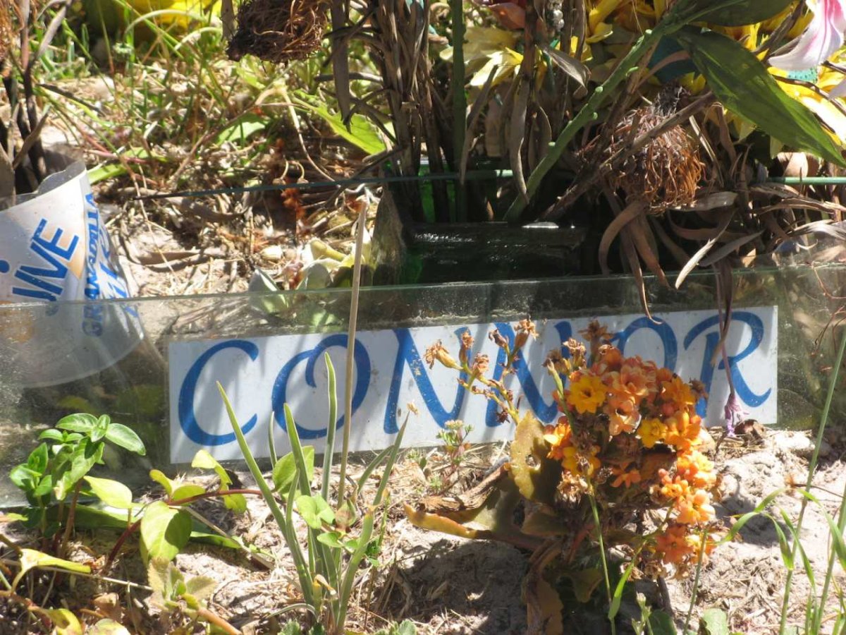? Connor