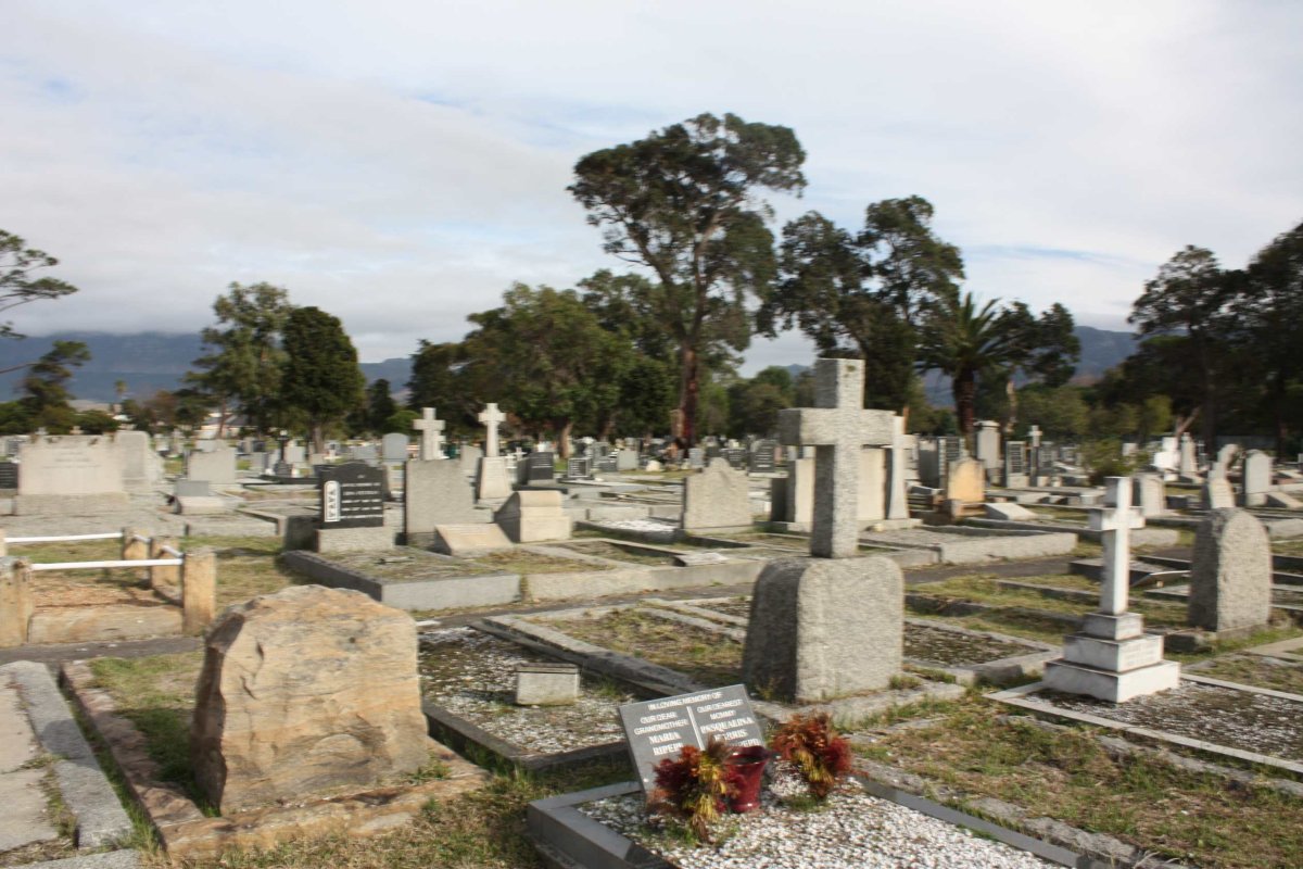 3. Overview