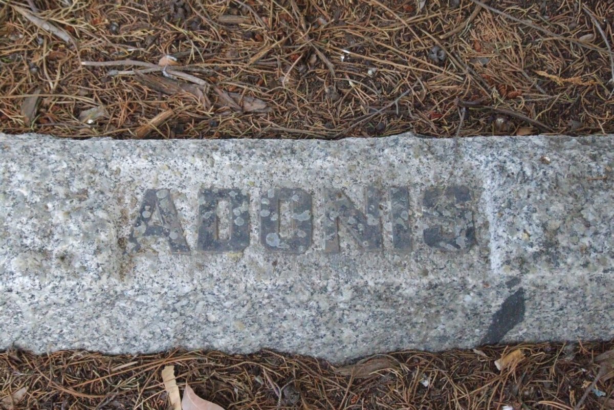 ADONIS