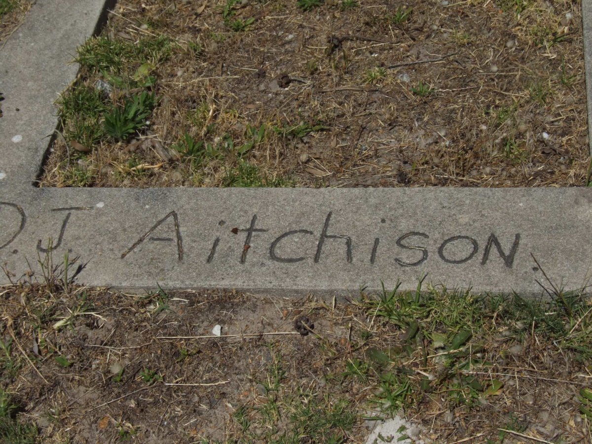 AITCHISON D.J.