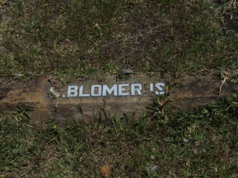 BLOMERUS