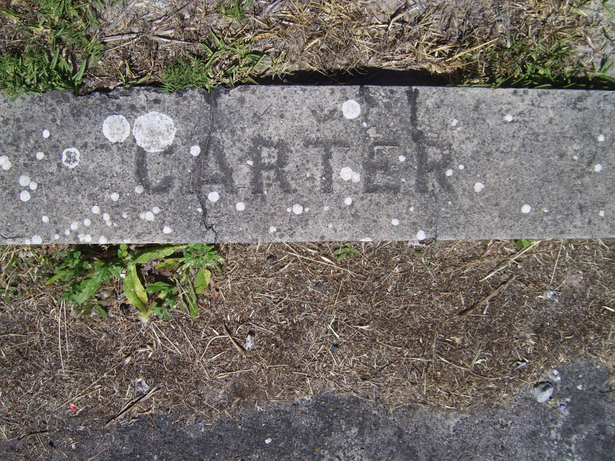 CARTER