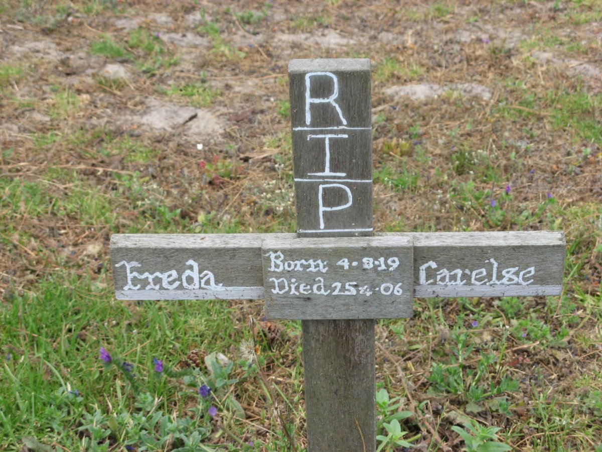CARELSE Freda 1919-2006
