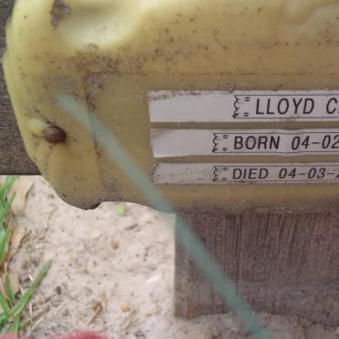 CLOETE Lloyd 1986-2007