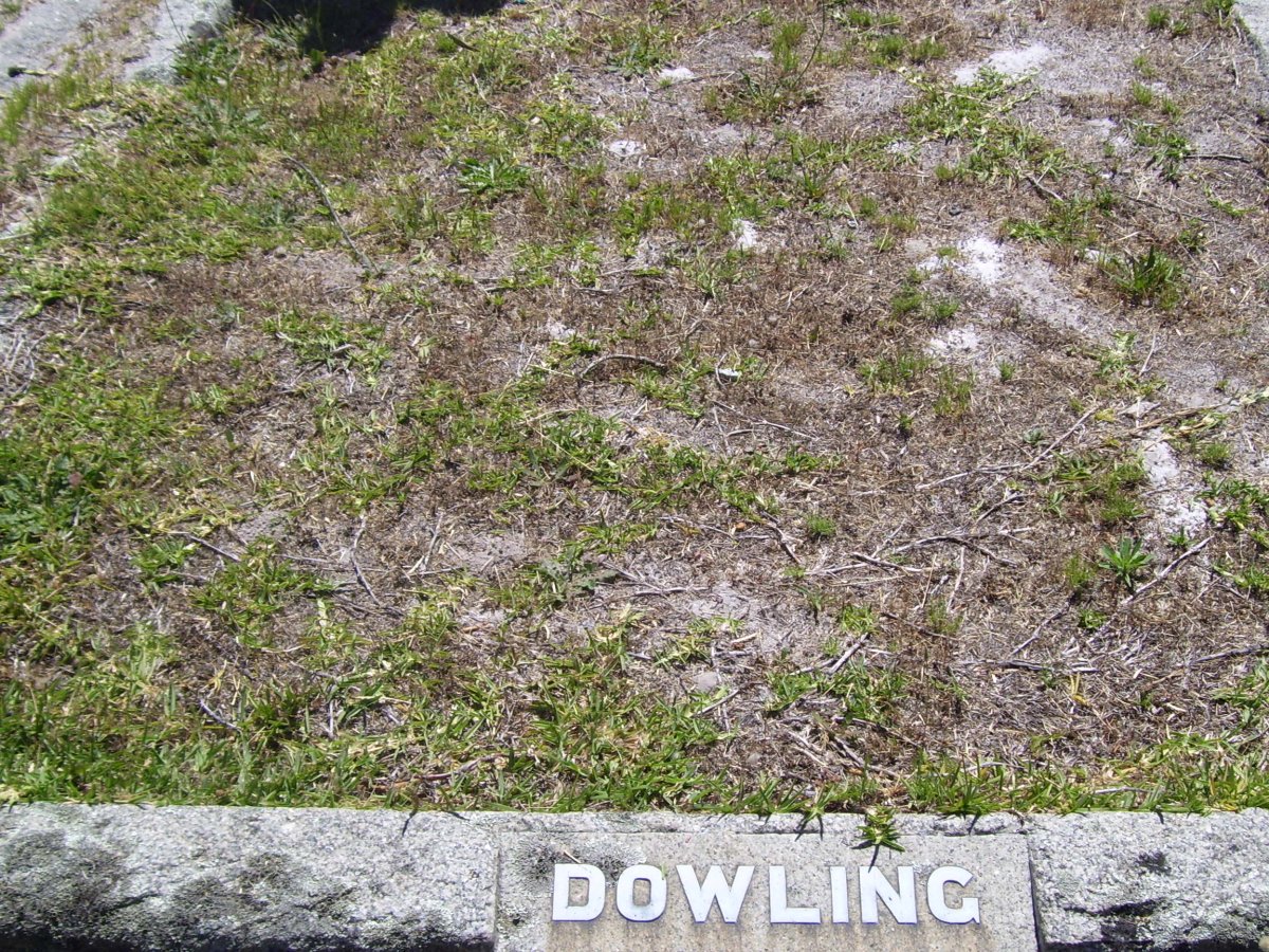 DOWLING