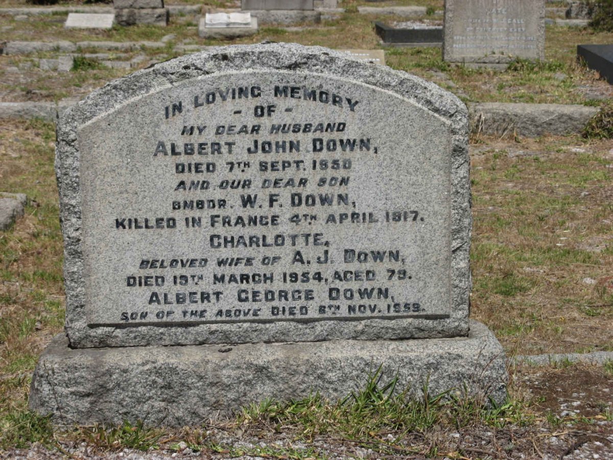 DOWN Albert John -1950 &amp; Charlotte -1954 :: DOWN W.F. -1917 :: DOWN Albert George -1959