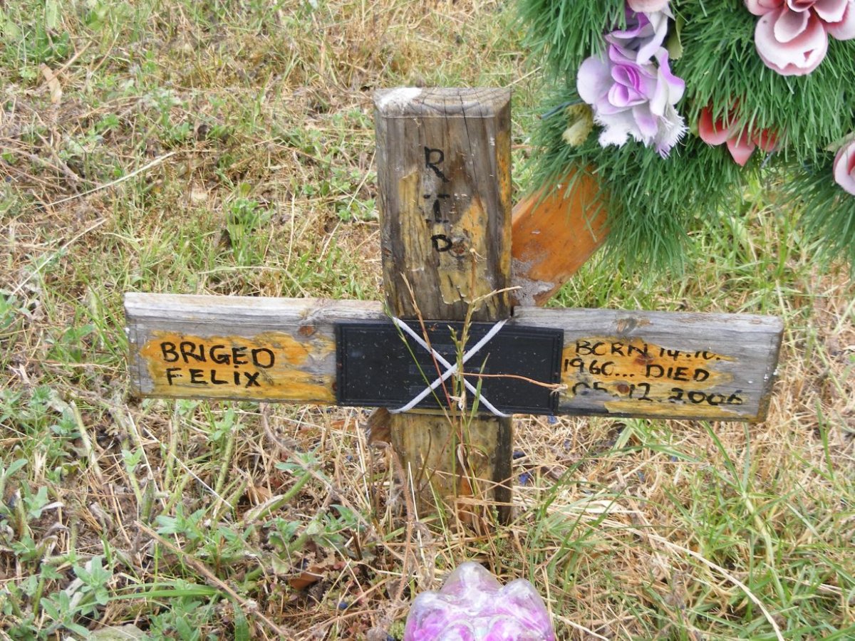 FELIX Briged 1960-2006