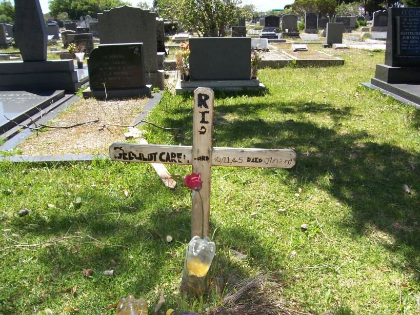 GEDULDT Carel 1945-2007
