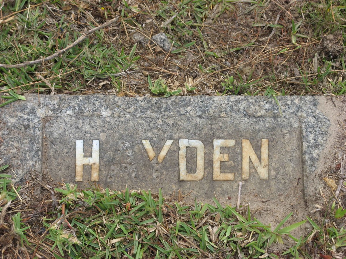 HAYDEN