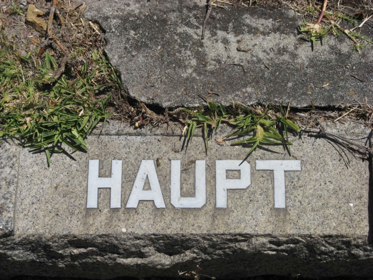 HAUPT