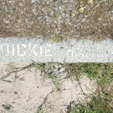 HANEKOM Dickie