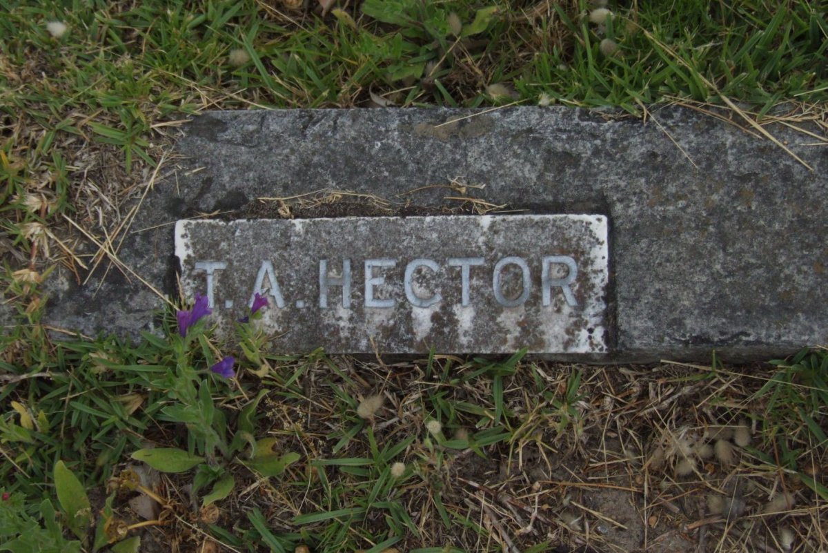 HECTOR T.A.