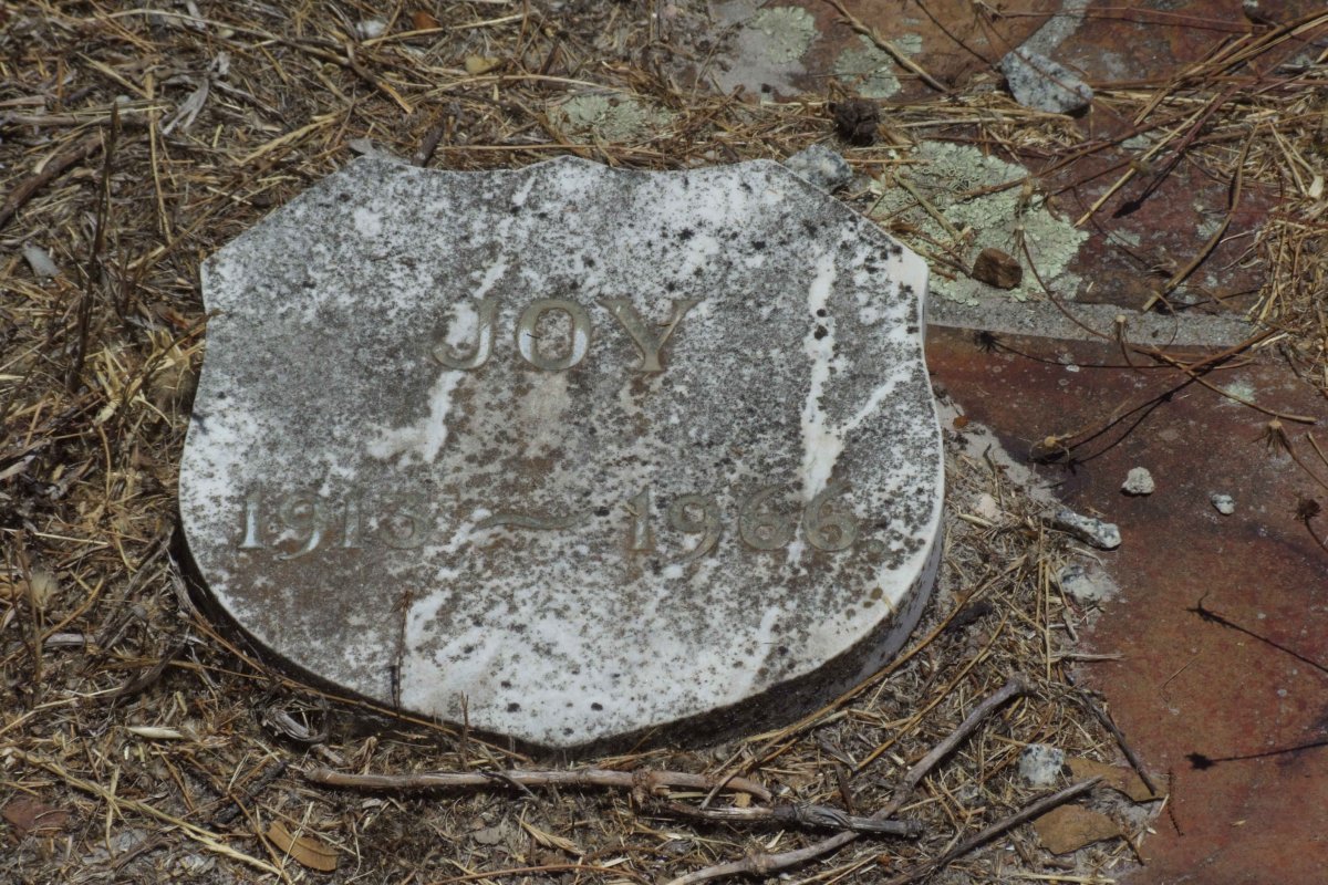 JOY 1913-1966