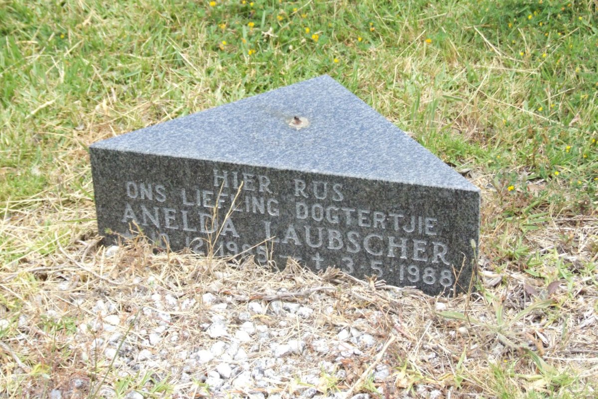 LAUBSCHER Anelda 1985-1988